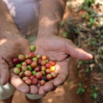 Waterfalls, Coffee and Adventure Tour, Huatulco - The Adventure Element: Jumping and Exploring