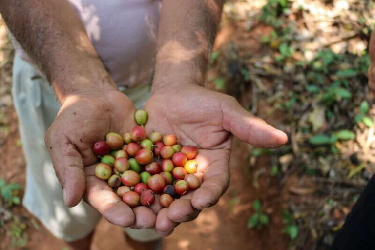 Waterfalls, Coffee and Adventure Tour, Huatulco - The Adventure Element: Jumping and Exploring