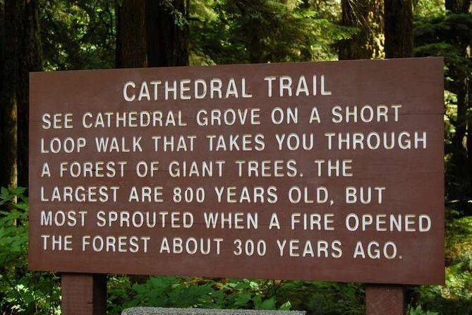 Waterfalls, Coombs and Cathedral Grove Rainforest Tour - Who Would Love This Tour?