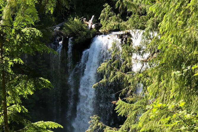 Waterfalls & the McKenzie River in a Tesla - Analyzing the Value: Is It Worth It?
