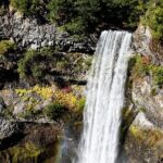 Waterfalls to Whistler Private Tour Roundtrip - The Experience from the Travelers Viewpoint