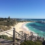 Wave Rock & Rottnest Island - Air & Ground Tour - Why This Tour Works Well