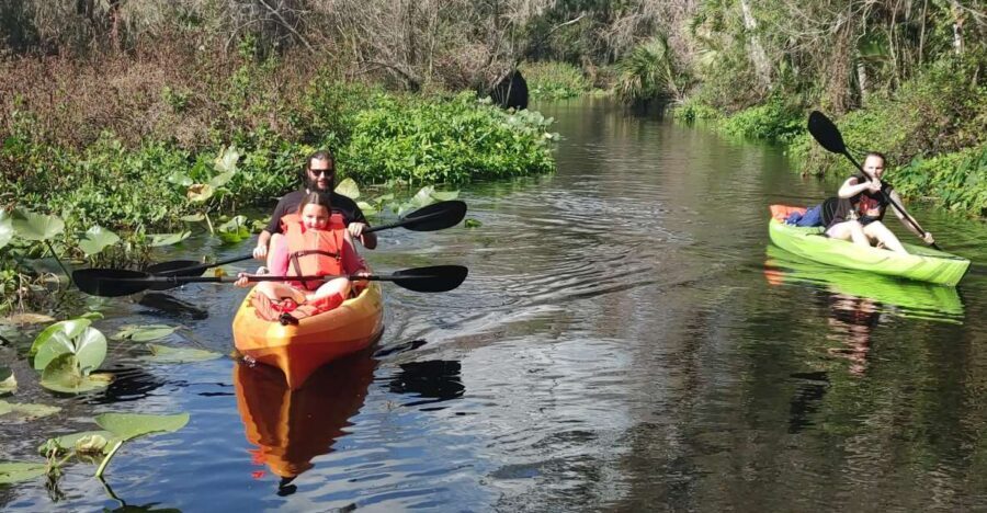 Wekiva Wildlife kayaking Adventure Tour - Why This Tour Stands Out