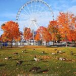 Welcome to Montreals Old Town: Private 2-hour Walking Tour - Practical Considerations