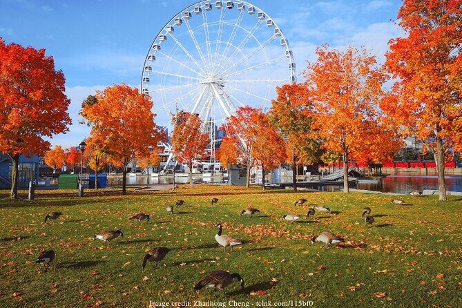 Welcome to Montreals Old Town: Private 2-hour Walking Tour - Practical Considerations