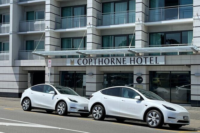 Welcome to Wellington: Private Luxury City & Scenic Bay Tour - The Experience: What You Can Expect