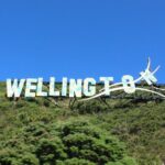 Wellington City and Sea: Private Tour in Electric Tesla SUV - The Sum Up