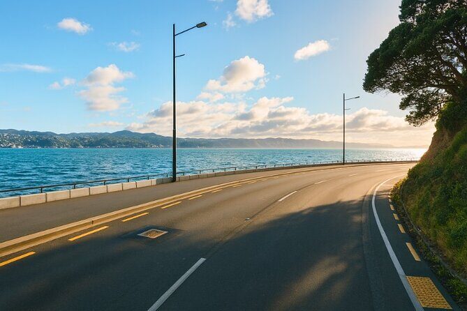 Wellington Coastal Self Drive Tour with an APP - The Experience: What We Think