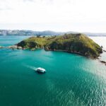 Wellington: Commentated Harbour Explorer tour - What To Expect: The Tour Breakdown