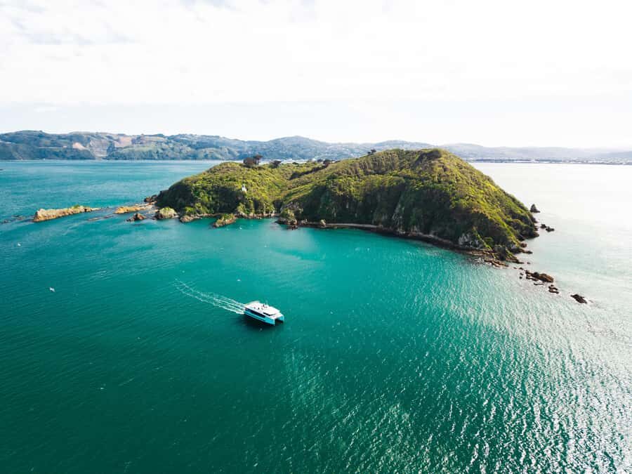 Wellington: Commentated Harbour Explorer tour - What To Expect: The Tour Breakdown