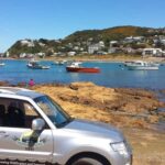 Wellington: Private Day Tour with Lunch - What the Reviews Say