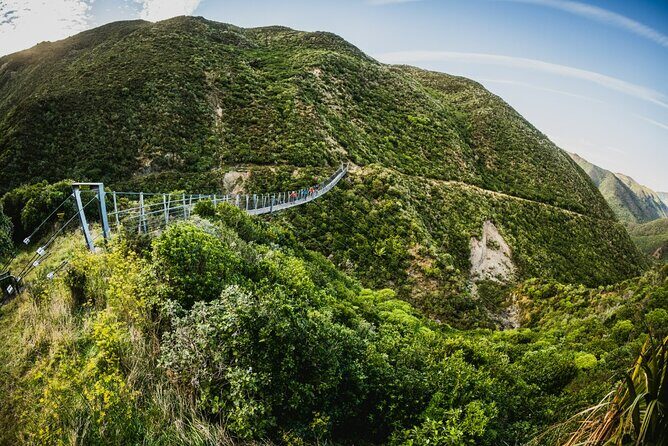 Wellington Remutaka Rail Trail eBike Cycle Tour - What Sets This Tour Apart