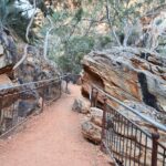 West MacDonnell Ranges Half day Tour -Small Group - What the Reviews Say About the Experience