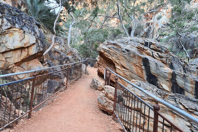 West MacDonnell Ranges Half day Tour -Small Group - What the Reviews Say About the Experience