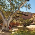 West MacDonnell Ranges & Standley Chasm Day Trip from Alice Springs - Detailed Breakdown of the Itinerary