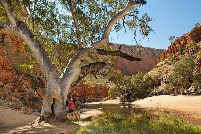 West MacDonnell Ranges & Standley Chasm Day Trip from Alice Springs - Detailed Breakdown of the Itinerary