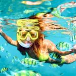 West Oahu: Turtles, Dolphins, and Snorkeling Tour with Lunch - The Itinerary & What to Expect