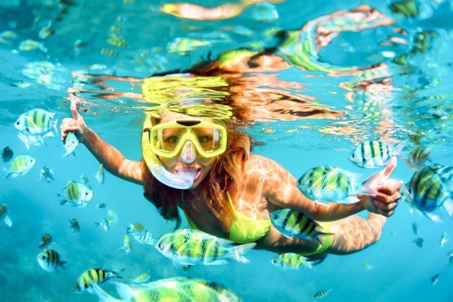 West Oahu: Turtles, Dolphins, and Snorkeling Tour with Lunch - The Itinerary & What to Expect