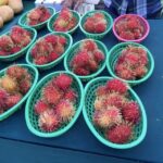 West Palm Beach: Mornings in the Market Food Tour - Who Should Consider This Tour?