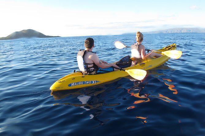 West Side Discovery Kayak & Snorkel Tour - What to Expect From the Tour