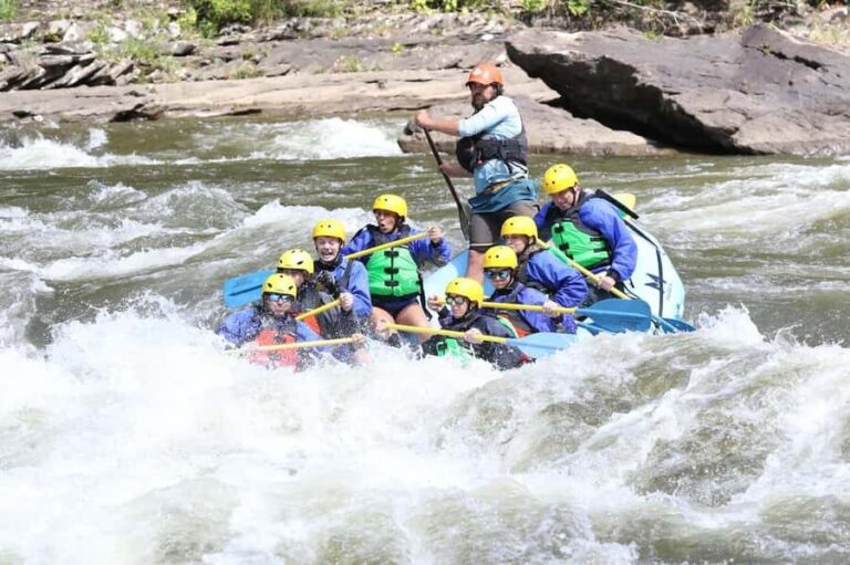 West Virginia: Lower New River Full-Day Rafting Adventure - The Scenic and Exciting Journey