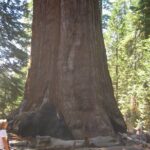 Western National Parks 7 Day Explorer Lodging - Practical Considerations: What to Expect