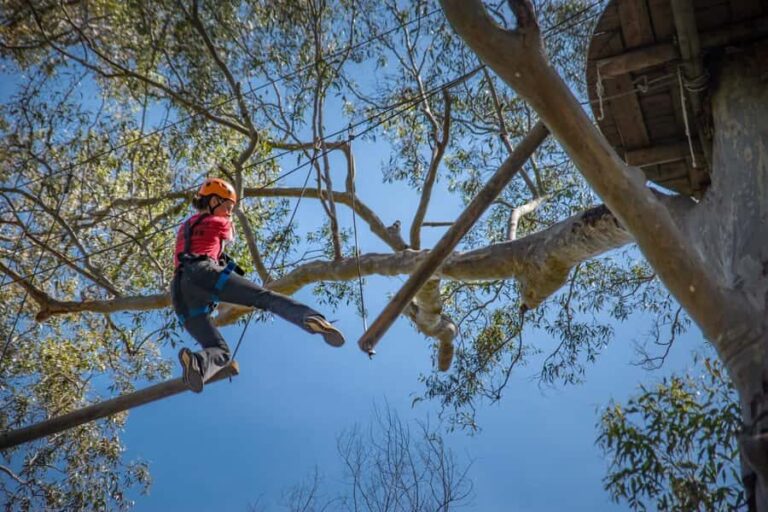 Western Sydney: Tree Ropes Courses - A Closer Look at the Experience