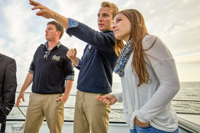 Whale and Wildlife Yacht Cruise in Santa Barbara - Wildlife Sightings and Tips