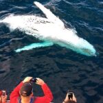 Whale & Dolphin Watching Cruise in Puerto Vallarta All Inclusive - The Pros and Cons Based on Real Experiences