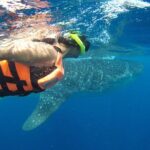 Whale Shark Tour from Cancun and Playa Del Carmen - Deep Dive: The Itinerary Breakdown