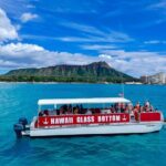 Whale Watch, Dolphins, Turtles and Sightseeing Cruise - Cost & Value