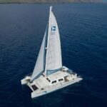 Whale Watch Sail Ma'alaea - What You Can Expect During the Tour