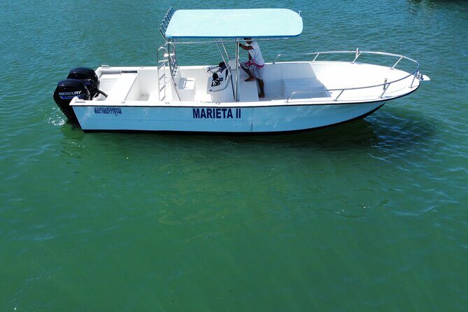 Whale watching - The Value of the Experience