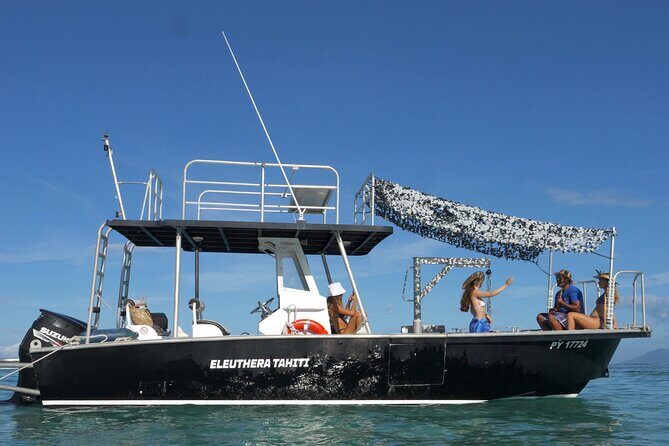 Whale Watching Activity - Real-Life Experiences from Travelers