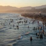 Whale Watching Cruise from Newport Beach - The Pros and Cons