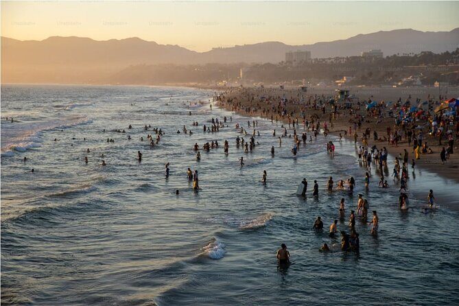 Whale Watching Cruise from Newport Beach - The Pros and Cons