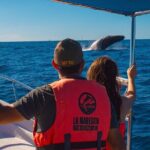 Whale Watching Experience in Cabo San Lucas 2 hours - What Travelers Are Saying