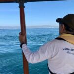 Whale Watching Experience in Puerto Vallarta - What to Expect from the Itinerary