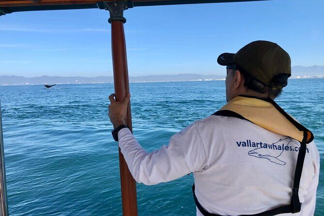 Whale Watching Experience in Puerto Vallarta - What to Expect from the Itinerary