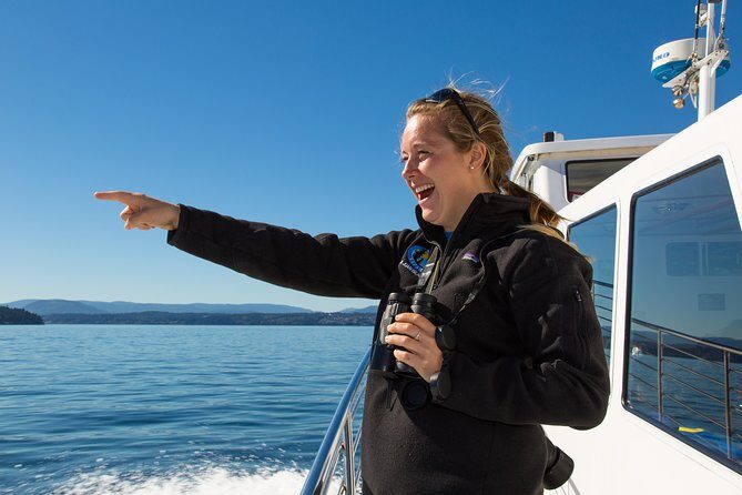 Whale Watching from Friday Harbor - Practical Tips for Your Whale-Watching Trip