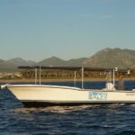 Whale Watching Group Tour in San Jose del Cabo - FAQs