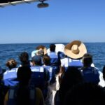 Whale Watching Guaranteed Experience in Puerto Vallarta - The Real Experience: What Travelers Are Saying