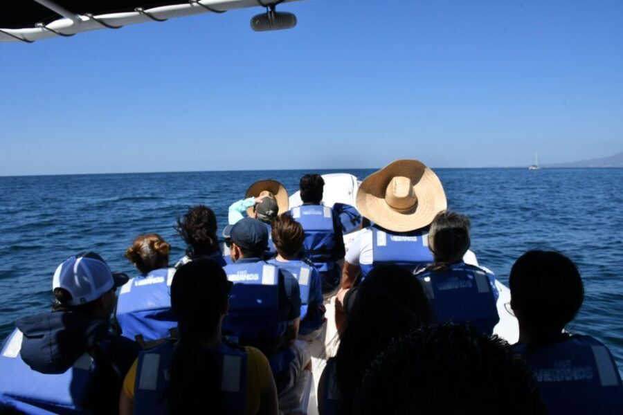 Whale Watching Guaranteed Experience in Puerto Vallarta - The Real Experience: What Travelers Are Saying
