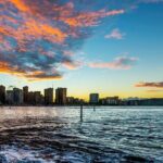 Whale Watching & Late Breakfast Cruise in Honolulu - The Value for Money