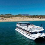 Whale Watching on 2 Level Big Boat with Breakfast and Drinks INCLUDED - The Itinerary: What to Expect