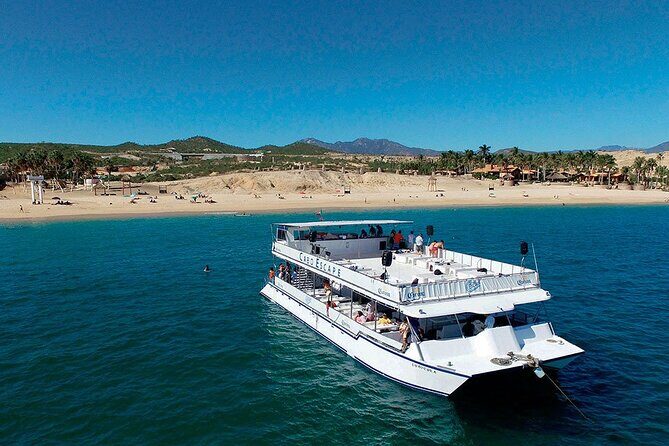 Whale Watching on 2 Level Big Boat with Breakfast and Drinks INCLUDED - The Itinerary: What to Expect