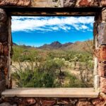 When Nature Calls - Exploring the Sonoran Desert - The Guide and Group Size