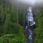 Whistler: Afternoon Bears Spotting Tour in Land Rover - The Itinerary Breakdown