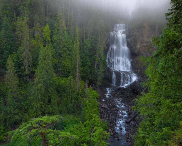 Whistler: Afternoon Bears Spotting Tour in Land Rover - The Itinerary Breakdown