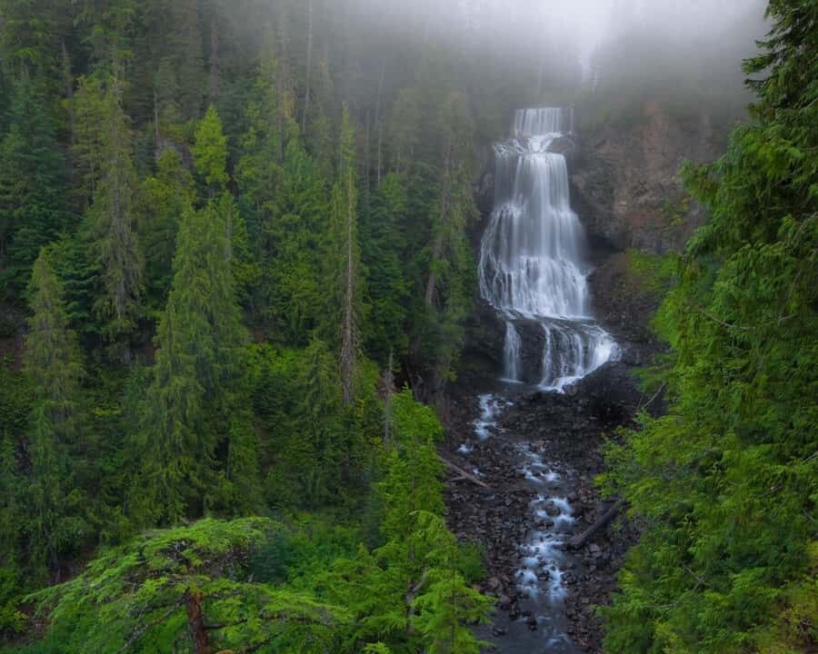 Whistler: Afternoon Bears Spotting Tour in Land Rover - The Itinerary Breakdown